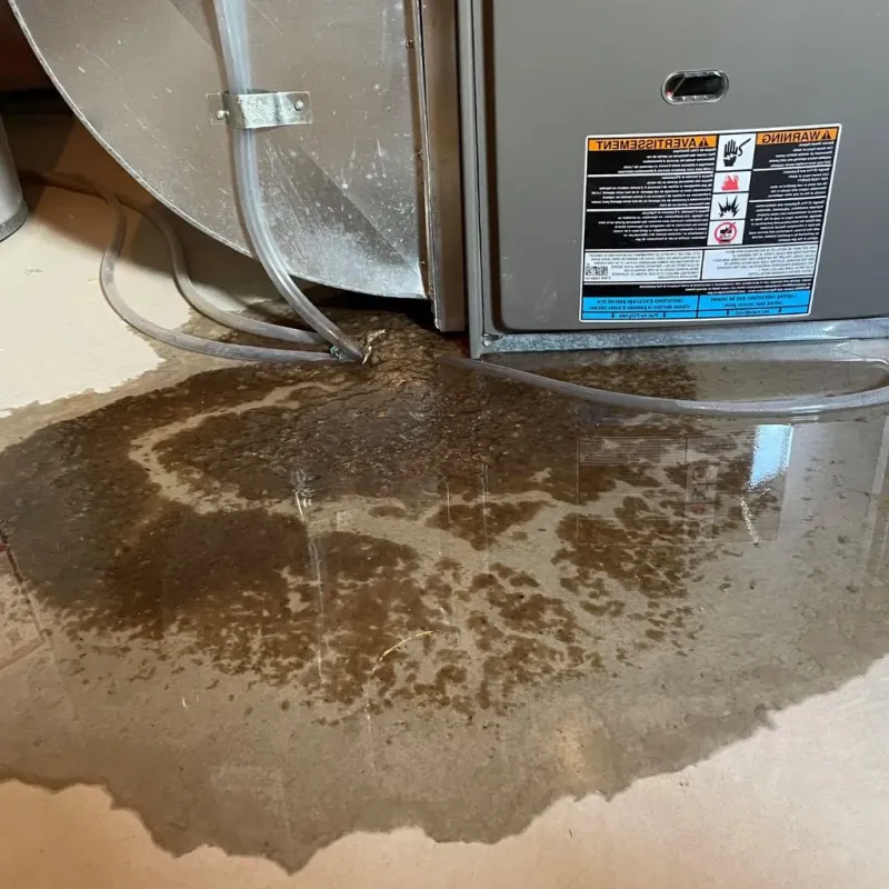 Pipe Burst and Leak Restoration in Mineral Ridge, OH