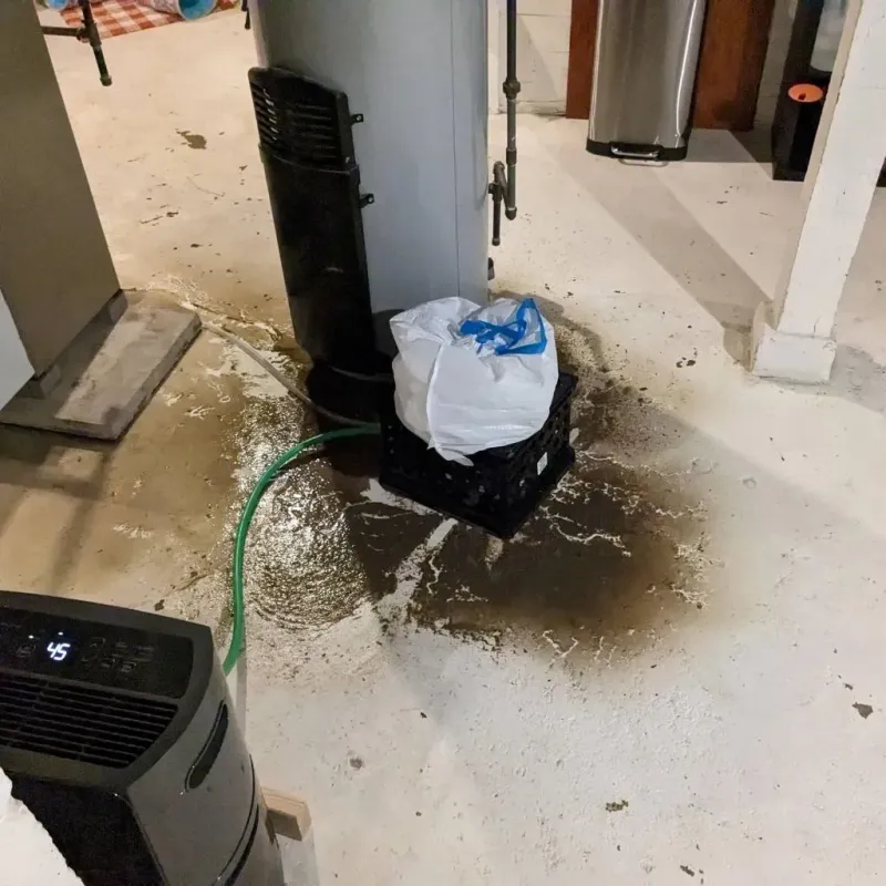 Sewage Backup Cleanup Service in Mineral Ridge, OH
